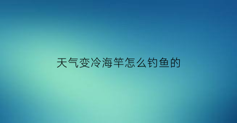天气变冷海竿怎么钓鱼的(天气冷了海钓好钓鱼吗)