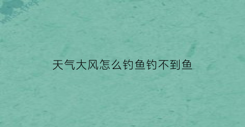 天气大风怎么钓鱼钓不到鱼(大风天怎样钓鱼)