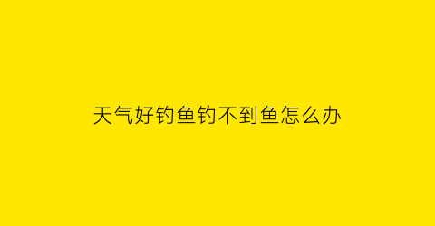 天气好钓鱼钓不到鱼怎么办