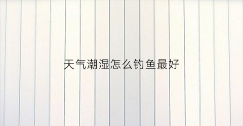 天气潮湿怎么钓鱼最好(天气潮湿有什么办法)