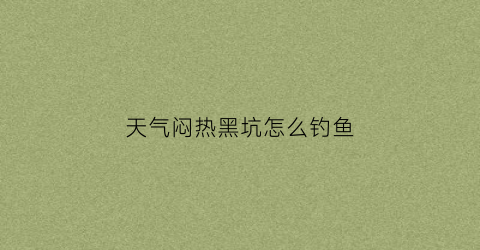 天气闷热黑坑怎么钓鱼(天气热钓黑坑怎么钓)