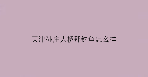 “天津孙庄大桥那钓鱼怎么样(孙村附近钓鱼的地方)