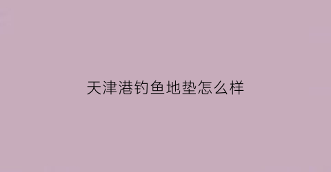 天津港钓鱼地垫怎么样(天津港海钓)