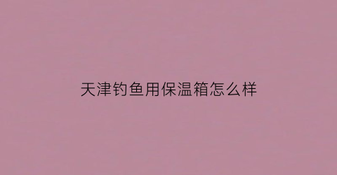 天津钓鱼用保温箱怎么样(钓鱼用的保温箱子)