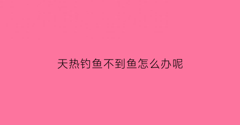 天热钓鱼不到鱼怎么办呢