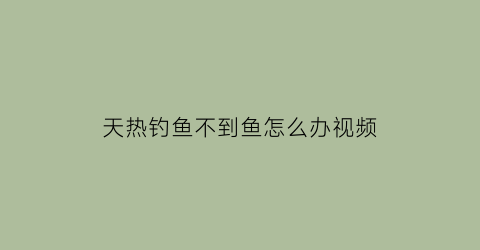 天热钓鱼不到鱼怎么办视频(天热了为什么钓不到鱼)