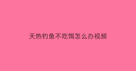 天热钓鱼不吃饵怎么办视频(天热鱼不上钓用什么办法钓)