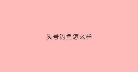 头号钓鱼怎么样(头号钓鱼怎么样好用吗)