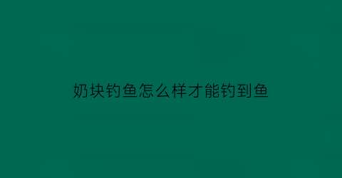 奶块钓鱼怎么样才能钓到鱼(奶块钓鱼怎么样才能钓到鱼类)