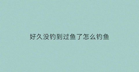 好久没钓到过鱼了怎么钓鱼(好久没有钓鱼的说说)