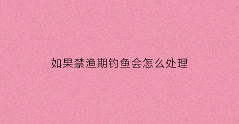 如果禁渔期钓鱼会怎么处理(如果禁渔期钓鱼会怎么处理呢)