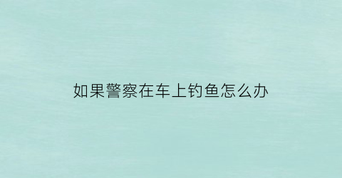 如果警察在车上钓鱼怎么办(警察一般怎么钓鱼)