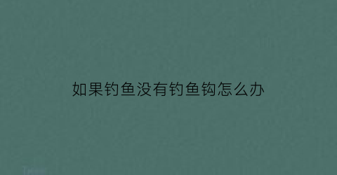 如果钓鱼没有钓鱼钩怎么办(钓鱼了没有)