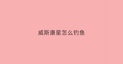 威斯康星怎么钓鱼(威斯康星2+2)