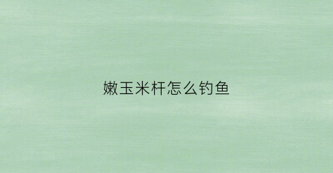嫩玉米杆怎么钓鱼(用嫩玉米钓鱼怎么调漂)