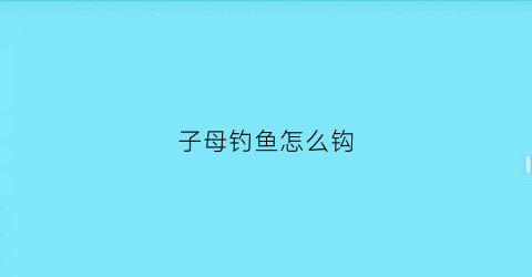 子母钓鱼怎么钩(子母钓鱼钩神钩)