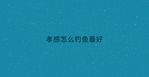 孝感怎么钓鱼最好(孝感野钓钓鱼的地方)