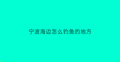 “宁波海边怎么钓鱼的地方(宁波海钓大概多少费用)