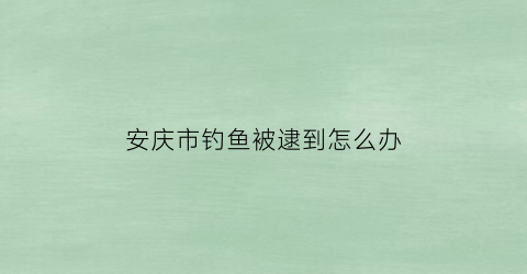 安庆市钓鱼被逮到怎么办(安庆禁钓)