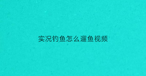 实况钓鱼怎么遛鱼视频(实况钓鱼游戏什么饵料最好)