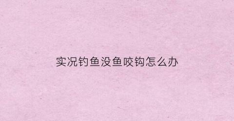实况钓鱼没鱼咬钩怎么办