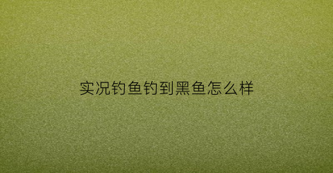 实况钓鱼钓到黑鱼怎么样