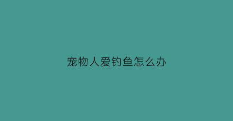 宠物人爱钓鱼怎么办