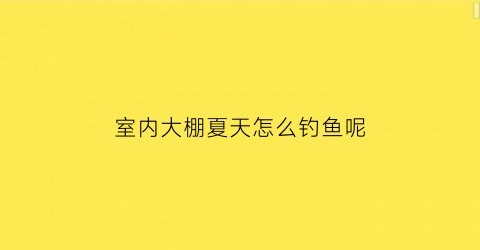 室内大棚夏天怎么钓鱼呢
