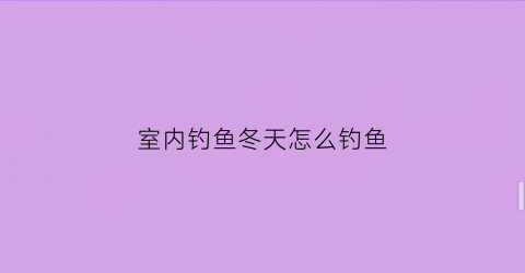 室内钓鱼冬天怎么钓鱼(室内钓鱼冬天怎么钓鱼视频)