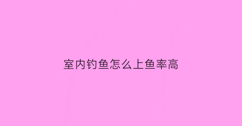 室内钓鱼怎么上鱼率高