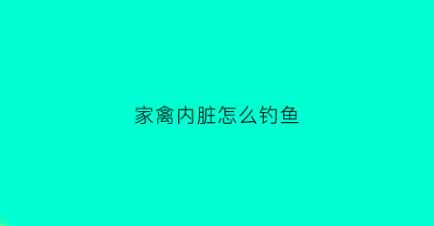 “家禽内脏怎么钓鱼(家禽的内脏的作用与功效)