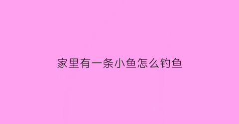 家里有一条小鱼怎么钓鱼(家里来了一条鱼吉利吗)