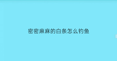 密密麻麻的白条怎么钓鱼(白条多的地方怎么钓大鱼)