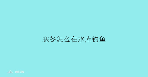 寒冬怎么在水库钓鱼(寒冬怎么在水库钓鱼视频)
