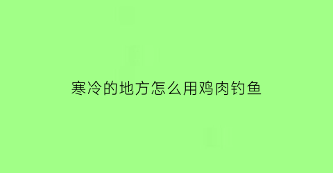 寒冷的地方怎么用鸡肉钓鱼