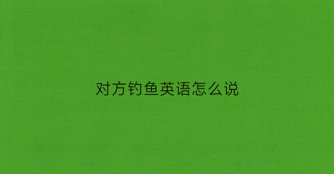 对方钓鱼英语怎么说(他钓鱼用英语怎么说)