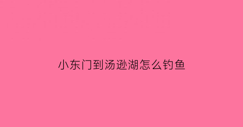 “小东门到汤逊湖怎么钓鱼