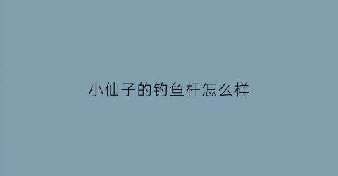 小仙子的钓鱼杆怎么样(小仙子电玩)