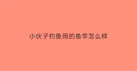 小伙子钓鱼用的鱼竿怎么样