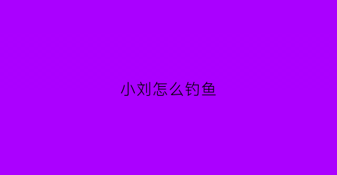 “小刘怎么钓鱼(小刘钓鱼视频)