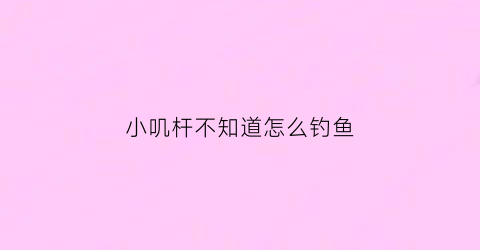 小叽杆不知道怎么钓鱼(叽杆用什么钩)