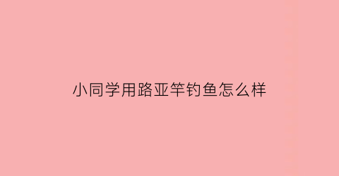 小同学用路亚竿钓鱼怎么样(路亚小鱼用什么竿)