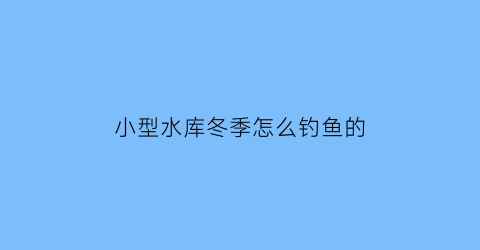 小型水库冬季怎么钓鱼的