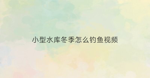 小型水库冬季怎么钓鱼视频(冬季小水库钓鱼技巧)