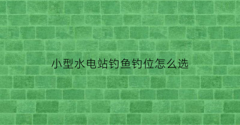 “小型水电站钓鱼钓位怎么选(水电站下游钓鱼)