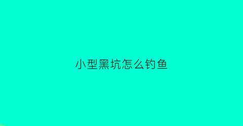 小型黑坑怎么钓鱼(小黑坑钓鲤鱼需要投资多少钱)