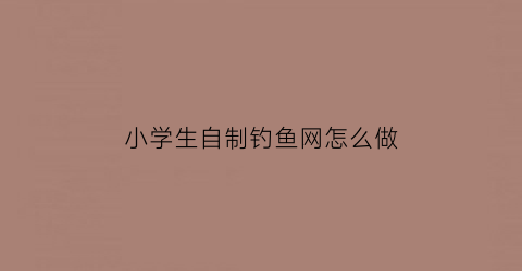 小学生自制钓鱼网怎么做(钓鱼网制作)