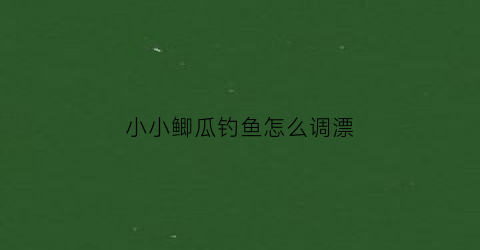 “小小鲫瓜钓鱼怎么调漂(小小鲫瓜钓鱼最高纪录)