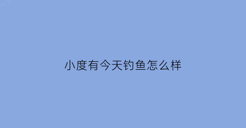 小度有今天钓鱼怎么样