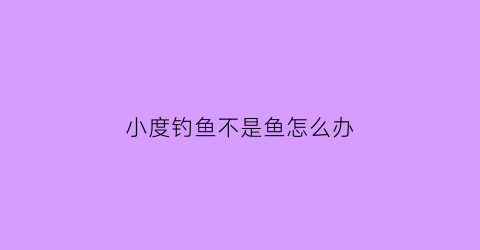 小度钓鱼不是鱼怎么办(小度钓鱼在哪里)